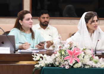 NA committee backs legal migration pathways, reviews diplomatic reforms