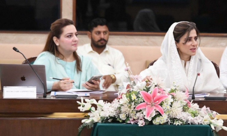NA committee backs legal migration pathways, reviews diplomatic reforms