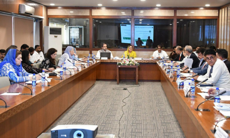 NA climate change committee reviews PSDP, EV policy; seeks roadmap for charging network and battery recycling