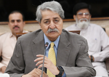 NA committee reviews post-budget analysis, flags structural economic concerns