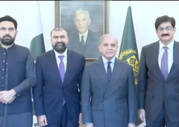 NEC approves development plans as PM Shehbaz stresses centre-province unity for economic growth