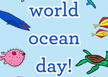 Gilani calls for collective action to protect oceans on World Oceans Day