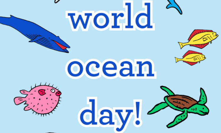 Gilani calls for collective action to protect oceans on World Oceans Day