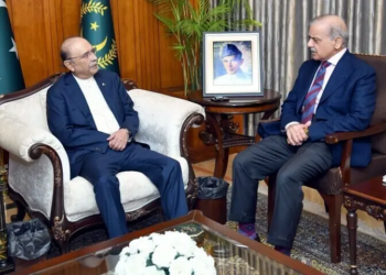 PPP assures support for federal budget after high-level meeting with government