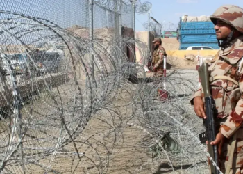 Security forces kill 29 militants in Bajaur operation, precision strikes along Afghan border: Tarar