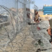 Security forces kill 29 militants in Bajaur operation, precision strikes along Afghan border: Tarar
