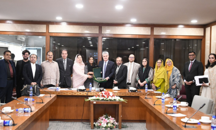 Pakistan, South Africa lawmakers call for stronger parliamentary and economic cooperation