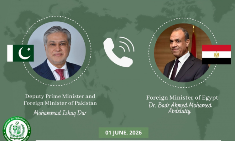 Dar, Egyptian FM discuss regional situation, stress diplomatic engagement