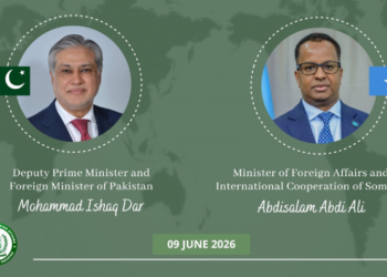 Ishaq Dar, Somali FM discuss efforts for safe release of Pakistani hostages from hijacked vessel