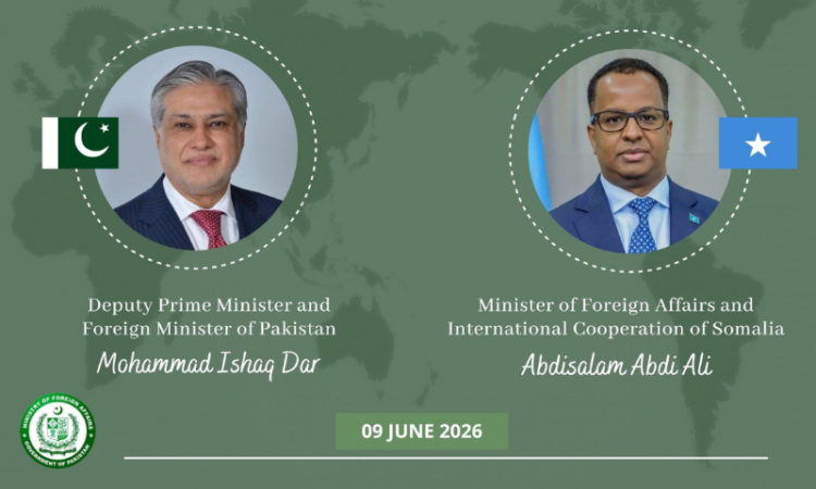 Ishaq Dar, Somali FM discuss efforts for safe release of Pakistani hostages from hijacked vessel