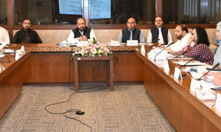 Senate panel calls for stronger heritage protection framework, approves Lok Virsa Bill