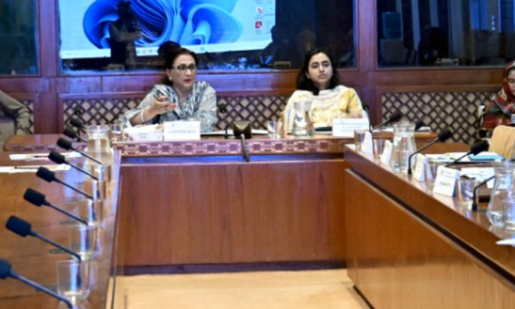 Senate panel raises alarm over internet degradation, telecom infrastructure theft across Pakistan