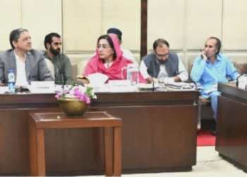 Senate finance committee advances budget scrutiny, approves faceless tax system and strong enforcement measures