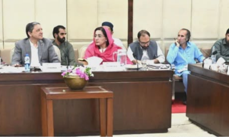 Senate finance committee advances budget scrutiny, approves faceless tax system and strong enforcement measures