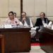 Senate finance committee reviews Finance Bill 2026–27, deliberates tax reforms and customs procedures