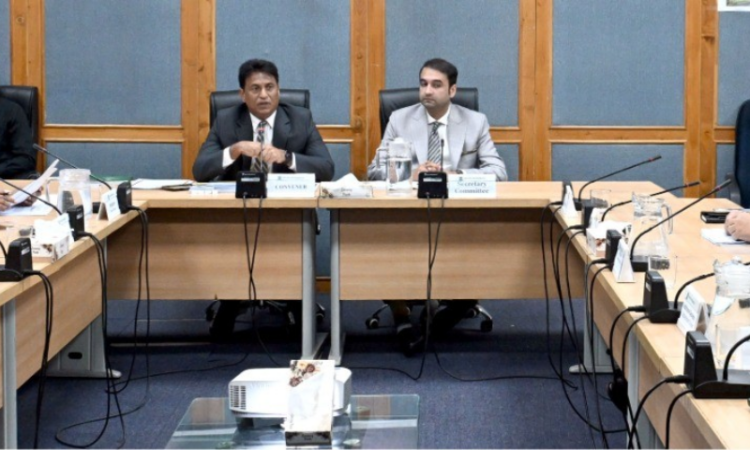 Senate sub-committee stresses constitutional equity, reviews provincial representation in federal services