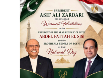 President Zardari congratulates Egypt on National Day