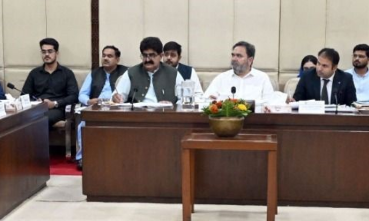 Senate panel seeks PM’s intervention on Warrants of Precedence, reviews NDMA and benevolent fund bills