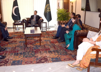 Gilani reaffirms Pakistan-China strategic partnership, welcomes Chinese investment