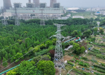 China unveils five-year plan for renewable energy development