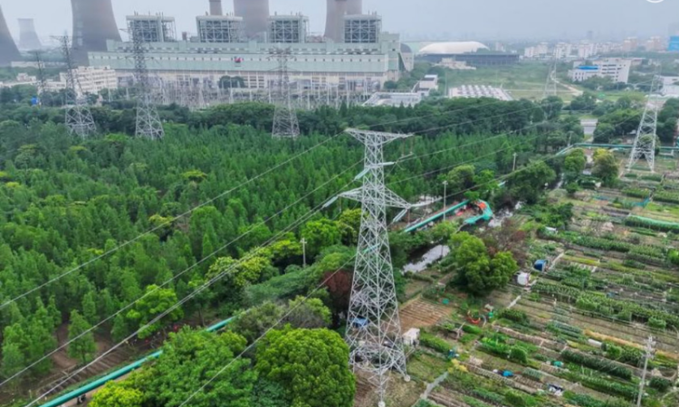 China unveils five-year plan for renewable energy development