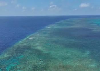 China lodges representations against Japan's words, deeds on South China Sea