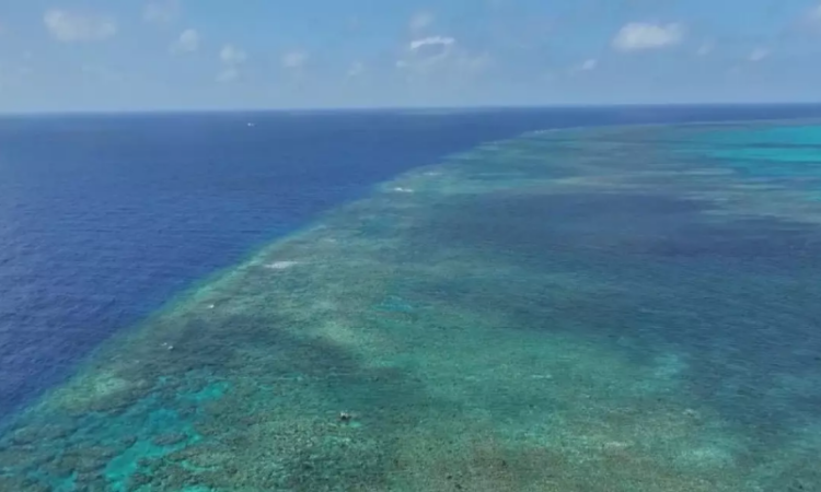 China lodges representations against Japan's words, deeds on South China Sea
