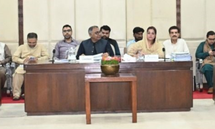 Senate panel to write PM, NAB and FIA over alleged irregularities in foreign-funded projects