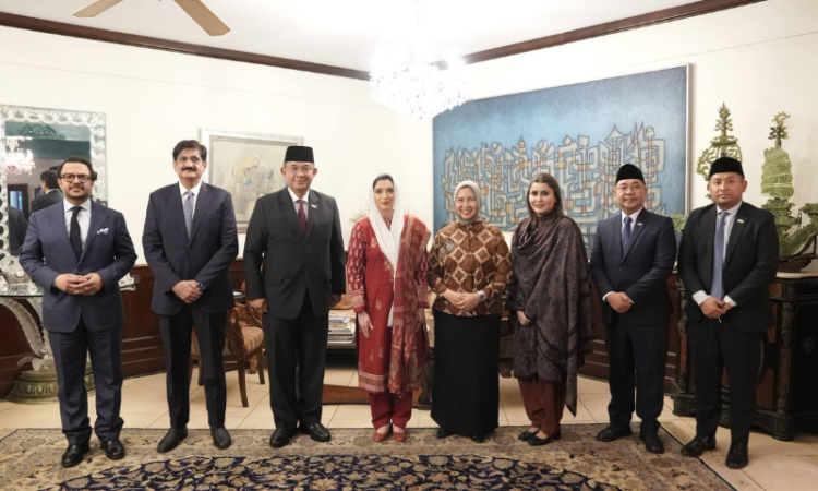 First Lady receives Ambassador of Indonesia