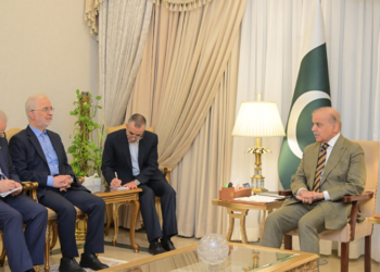 PM Shehbaz reaffirms Pakistan’s commitment to regional peace during meeting with Iranian interior minister