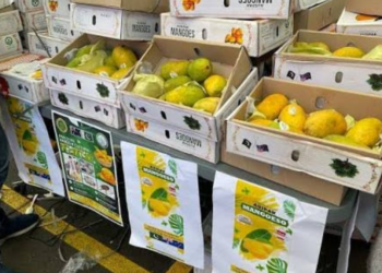 Pakistani mango festival attracts over 30,000 visitors in Melbourne
