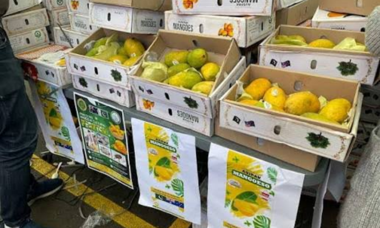 Pakistani mango festival attracts over 30,000 visitors in Melbourne