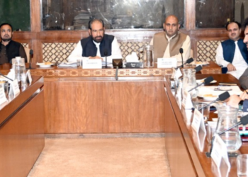 Senate panel reviews UNESCO concerns, seeks report on smuggled antiquities repatriated to Pakistan