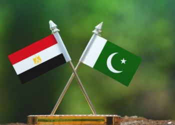 Pakistan, Egypt agree to expand cooperation at annual bilateral consultations