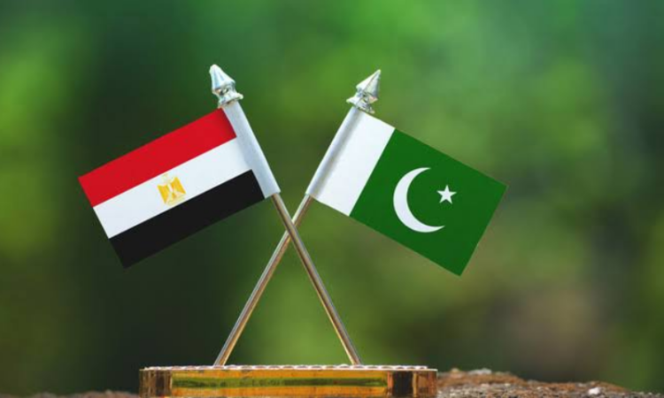 Pakistan, Egypt agree to expand cooperation at annual bilateral consultations
