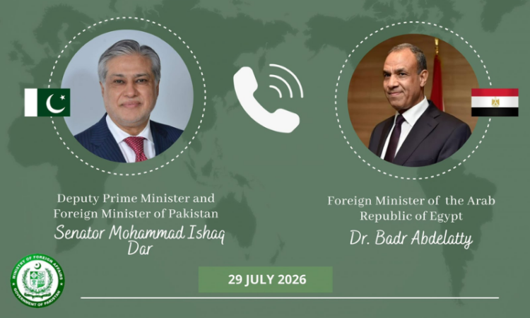 Pakistan, Egypt urge end to Israeli military actions in Gaza, back coordinated diplomatic efforts