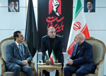 Chairman Senate meets Speaker of the Iranian Parliament; discusses Pakistan-Iran relations