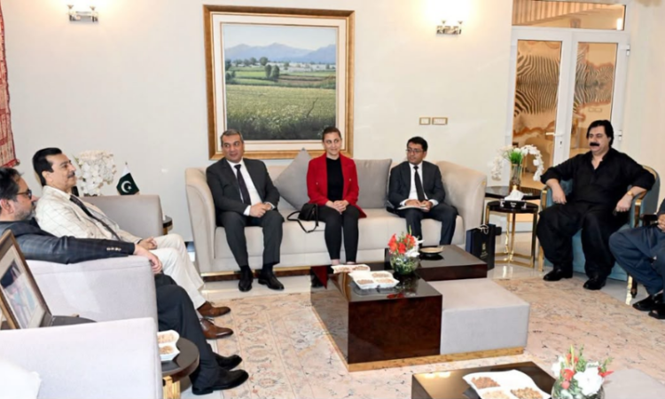 Farewell to Azerbaijani envoy: Gilani lauds role in strengthening Pakistan-Azerbaijan ties