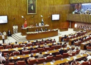 Senate sub-committee orders stricter oversight of GB private forest management