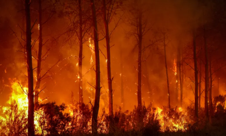 PM Shehbaz expresses solidarity with Spain over devastating wildfires