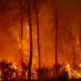 PM Shehbaz expresses solidarity with Spain over devastating wildfires