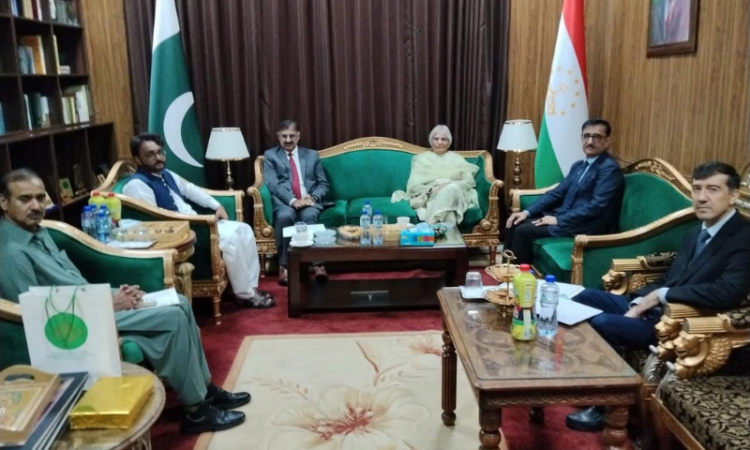Tajik envoy discusses cultural, academic cooperation with Pakistan Academy of Letters