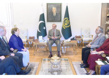 PM Shehbaz reiterates support for stronger UN during meeting with secretary-general candidate Michelle Bachelet