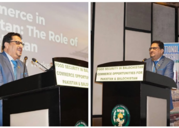 Balochistan highlighted as key to Pakistan's economic transformation