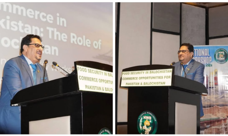 Balochistan highlighted as key to Pakistan's economic transformation