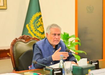 Ishaq Dar directs faster progress on privatisation of three power companies