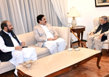 Deputy Senate chairman meets ANP leader Ghulam Ahmad Bilour
