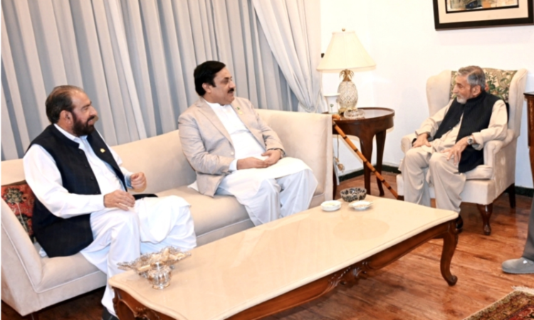 Deputy Senate chairman meets ANP leader Ghulam Ahmad Bilour