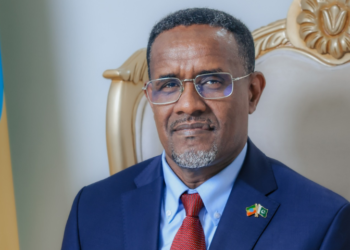 A day to remember: Ethiopia plants 800 million trees in single-day