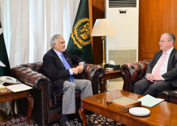 Ishaq Dar bids farewell to outgoing French ambassador
